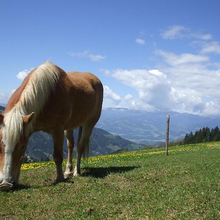 Bauernhof Pension Juri Obergösel Exteriör bild