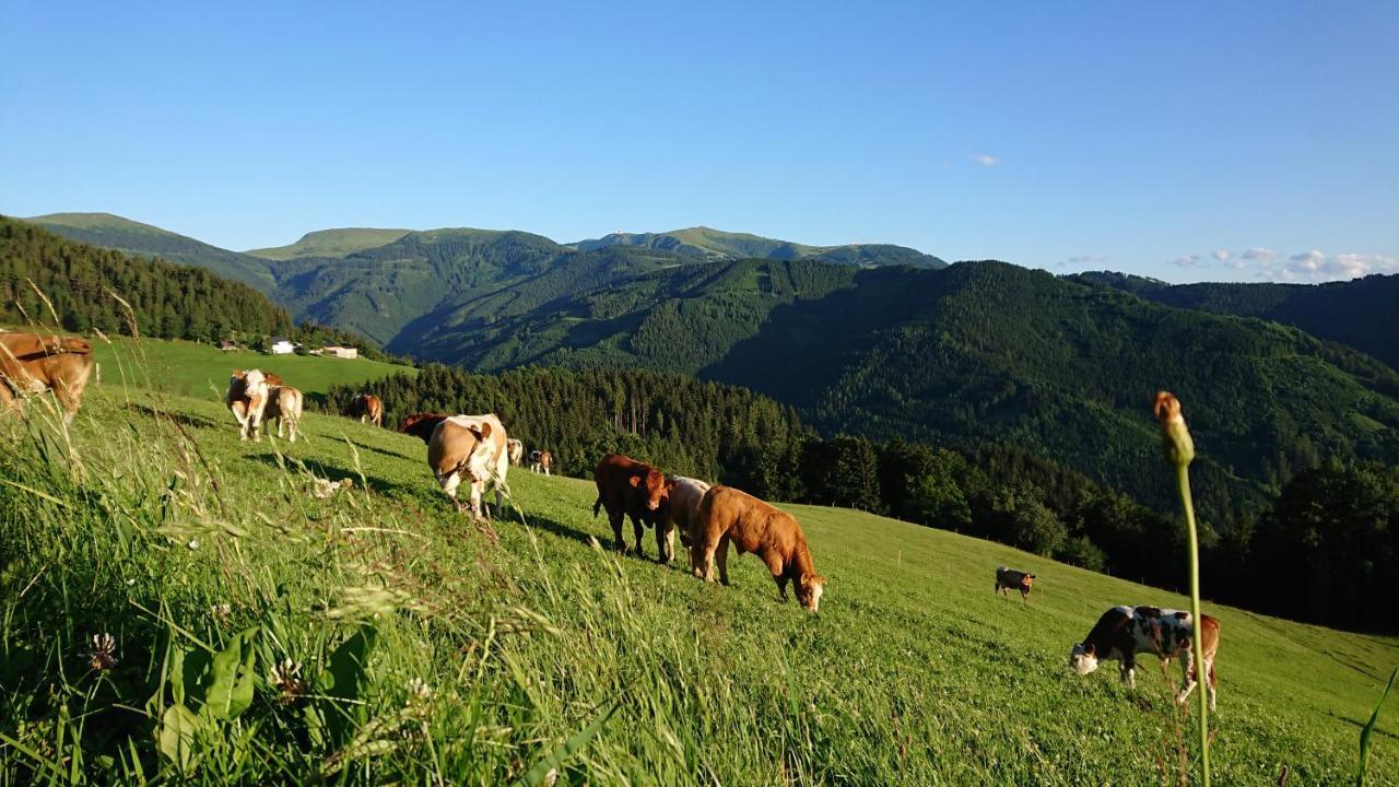 Bauernhof Pension Juri Obergösel Exteriör bild