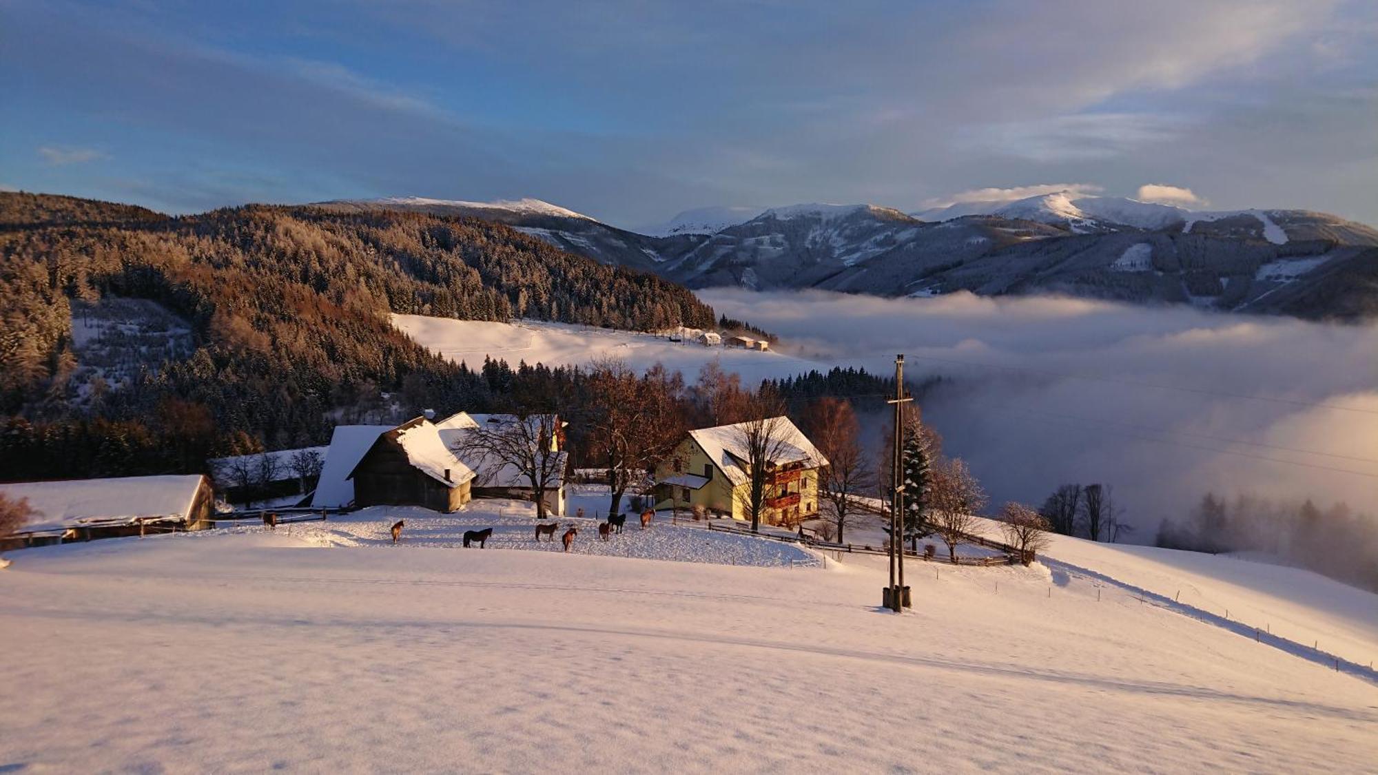 Bauernhof Pension Juri Obergösel Exteriör bild