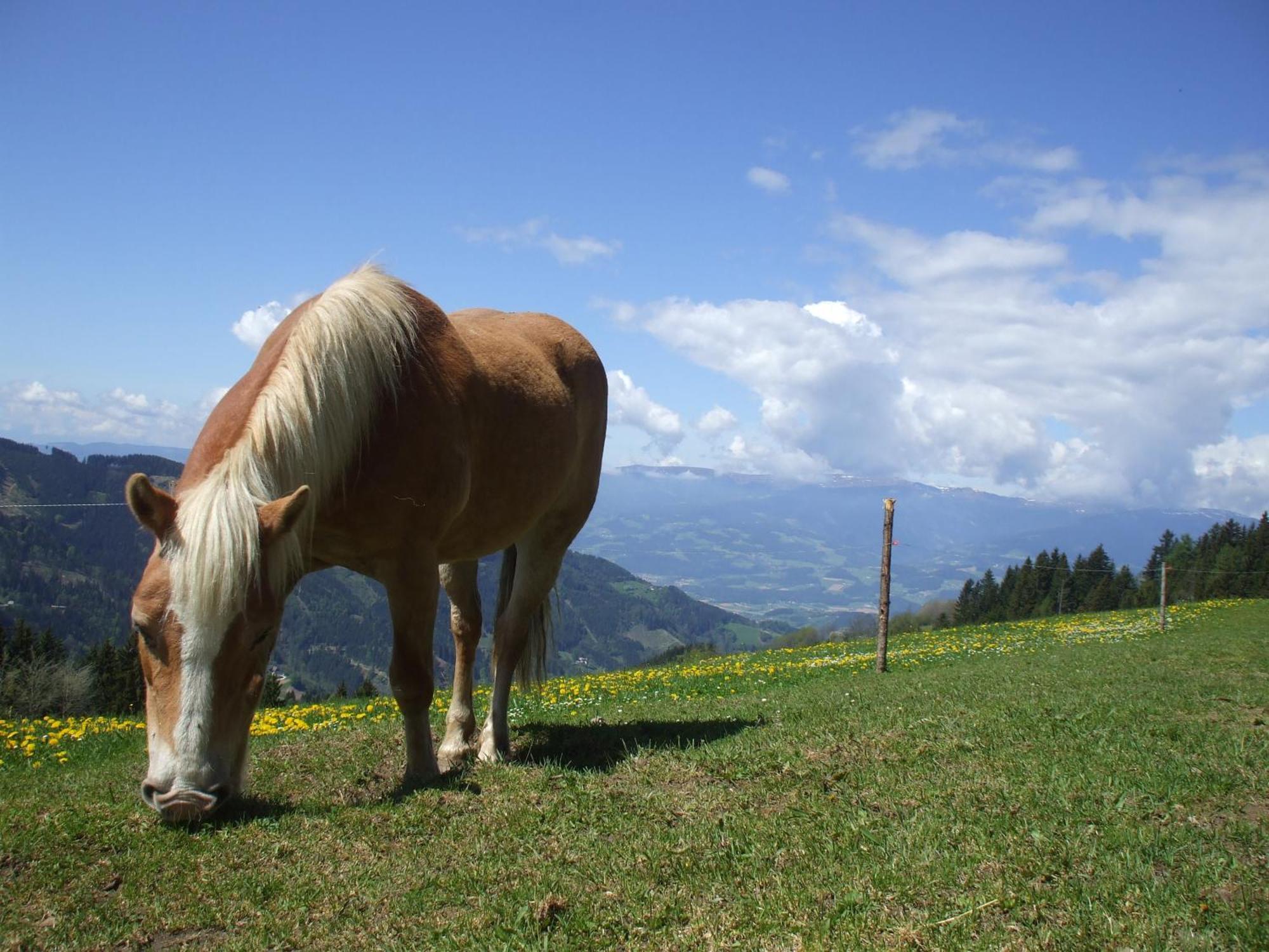 Bauernhof Pension Juri Obergösel Exteriör bild