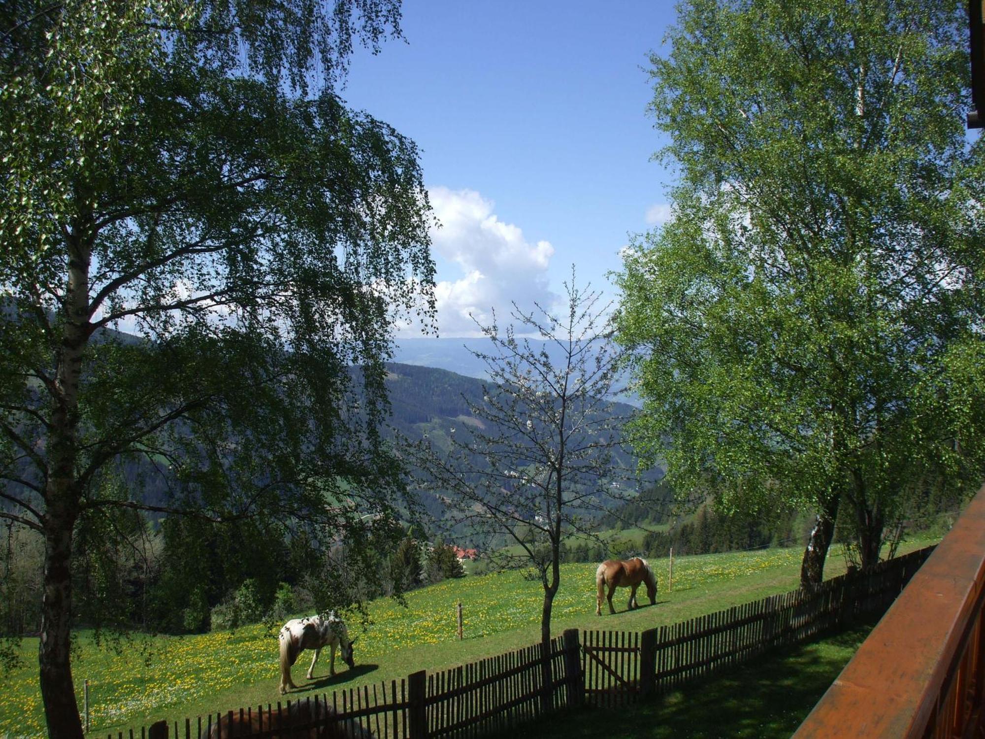 Bauernhof Pension Juri Obergösel Exteriör bild